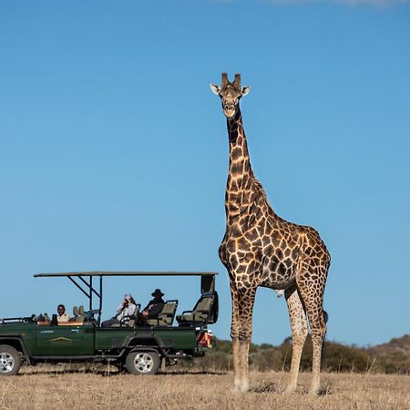 Вілла Safari Plains Mabula Game Reserve Екстер'єр фото
