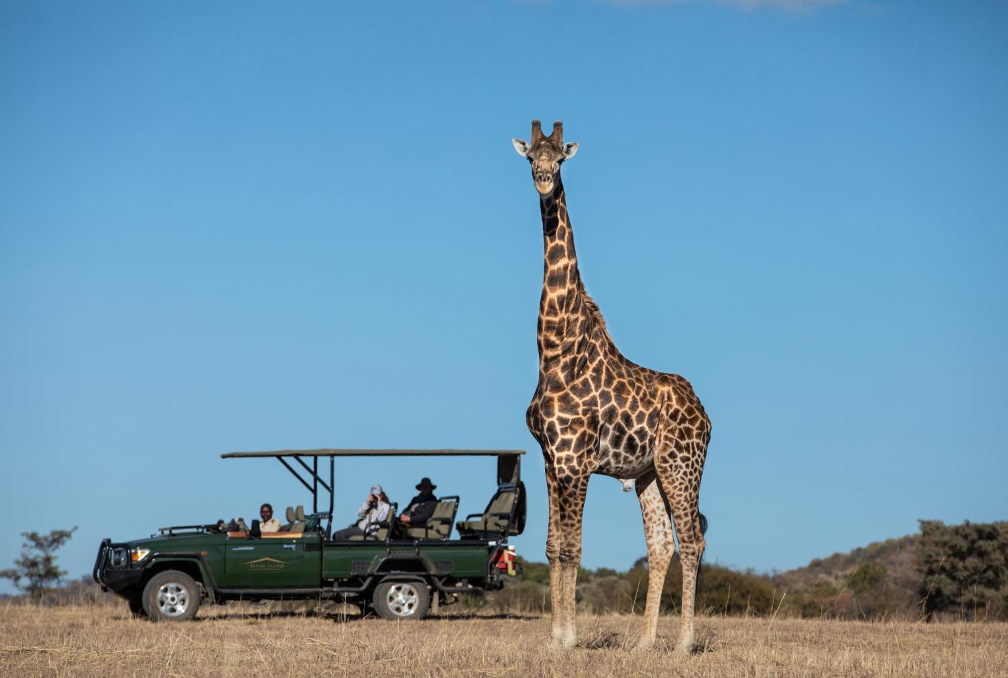 Вілла Safari Plains Mabula Game Reserve Екстер'єр фото