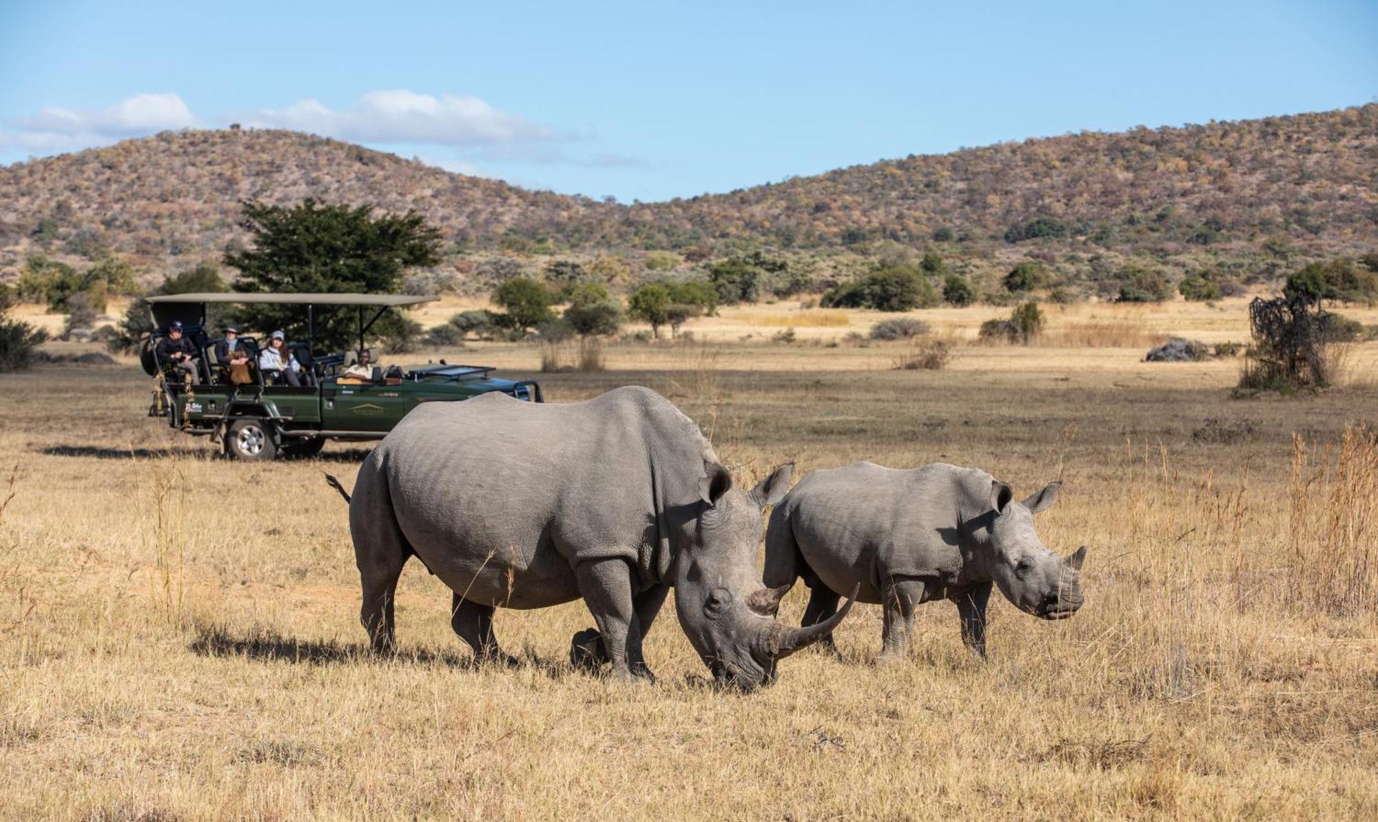 Вілла Safari Plains Mabula Game Reserve Екстер'єр фото
