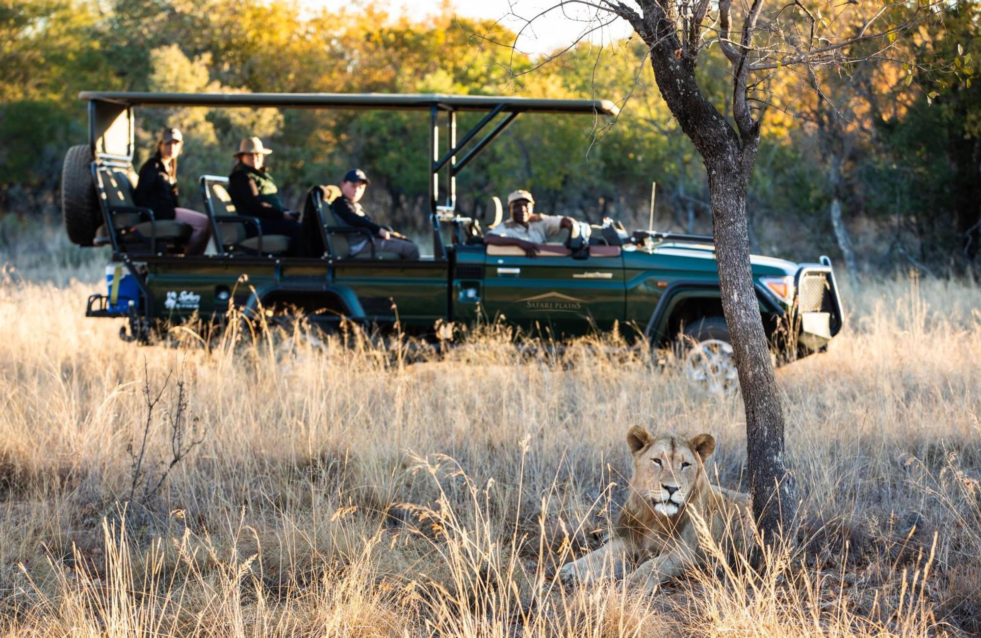 Вілла Safari Plains Mabula Game Reserve Екстер'єр фото